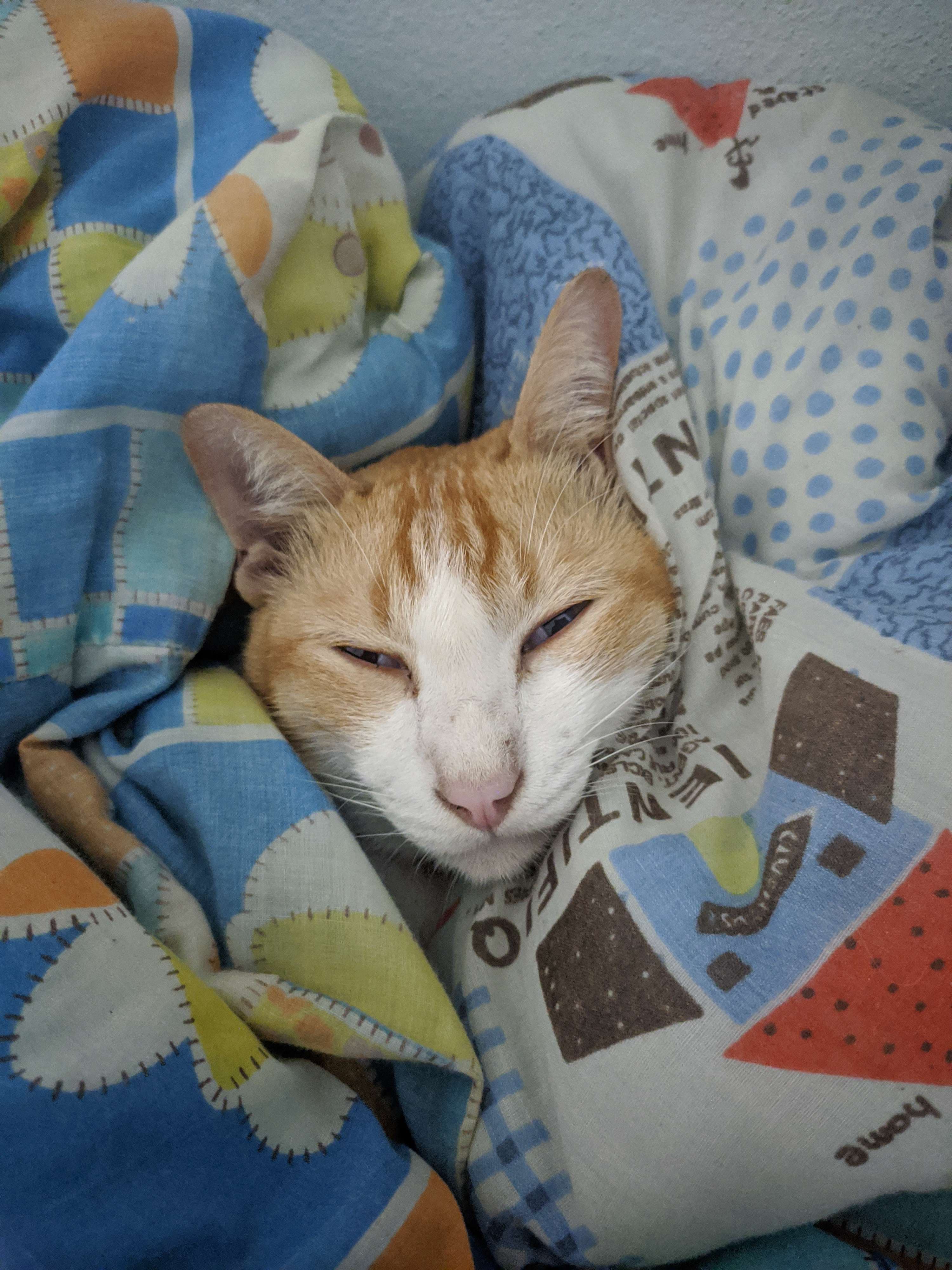 Cover image for blog post: 2022 in review